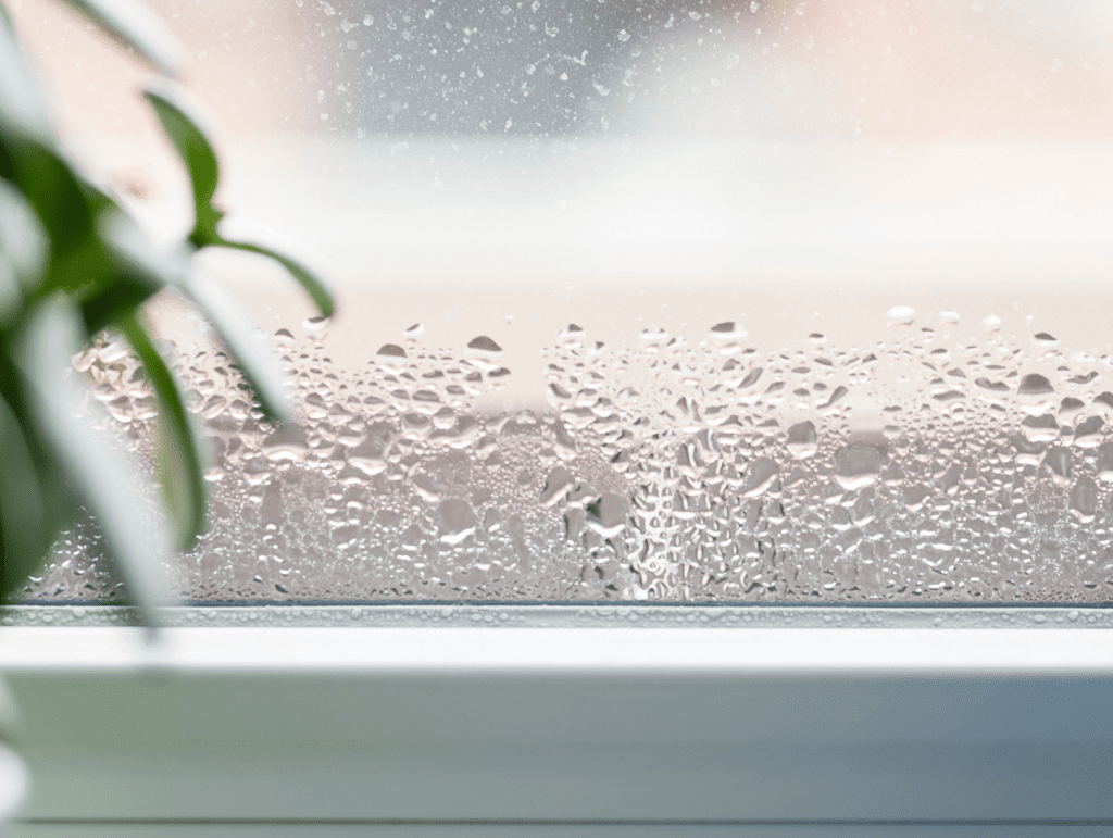 Condensation build up on windows