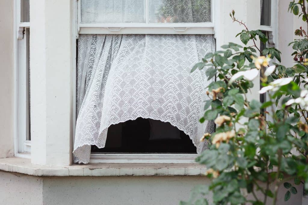 An open sash window with a net curtain blowing outside