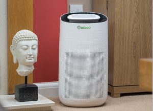Do air purifiers help with allergies
