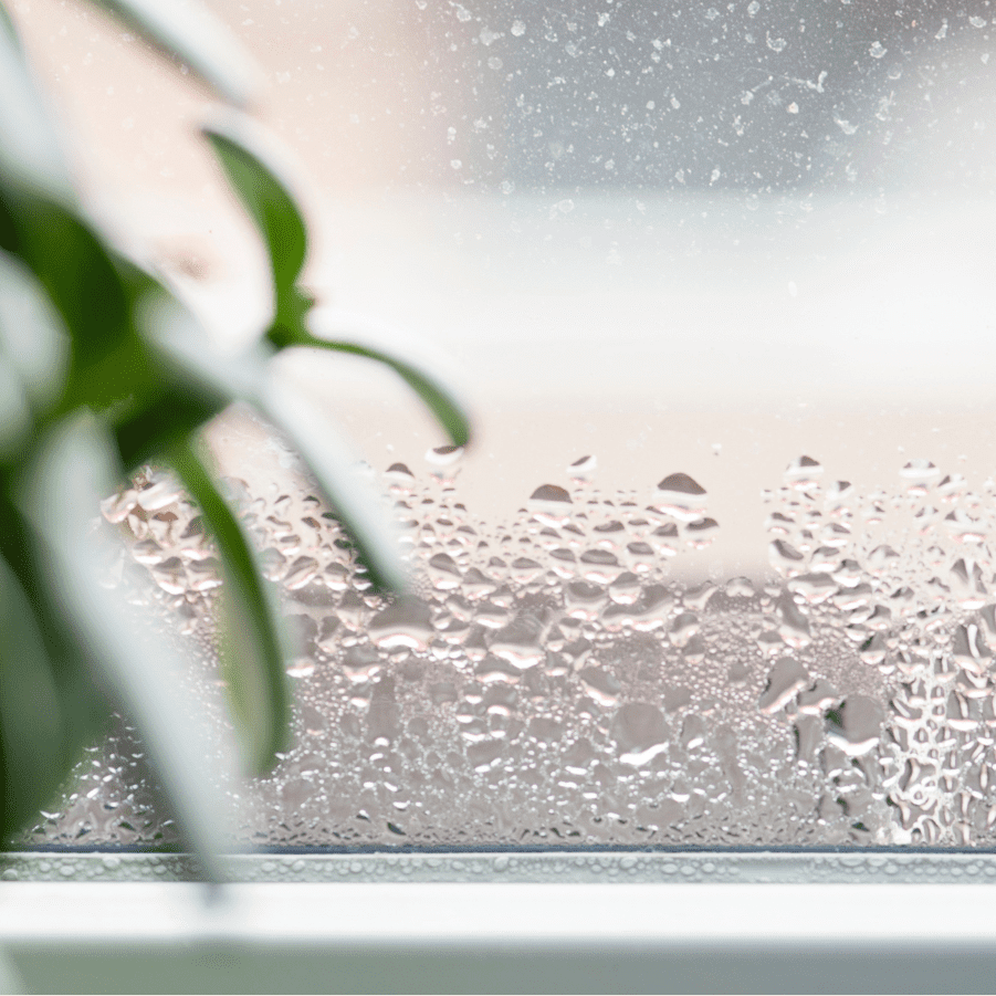 Condensation on window