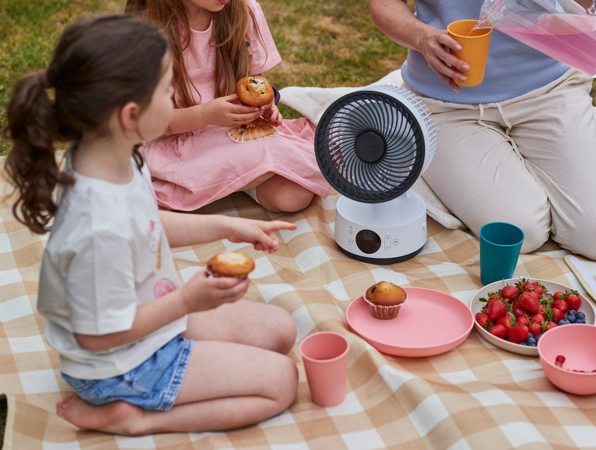 MeacoFan Sefte 6 Air Circulator at family picnic