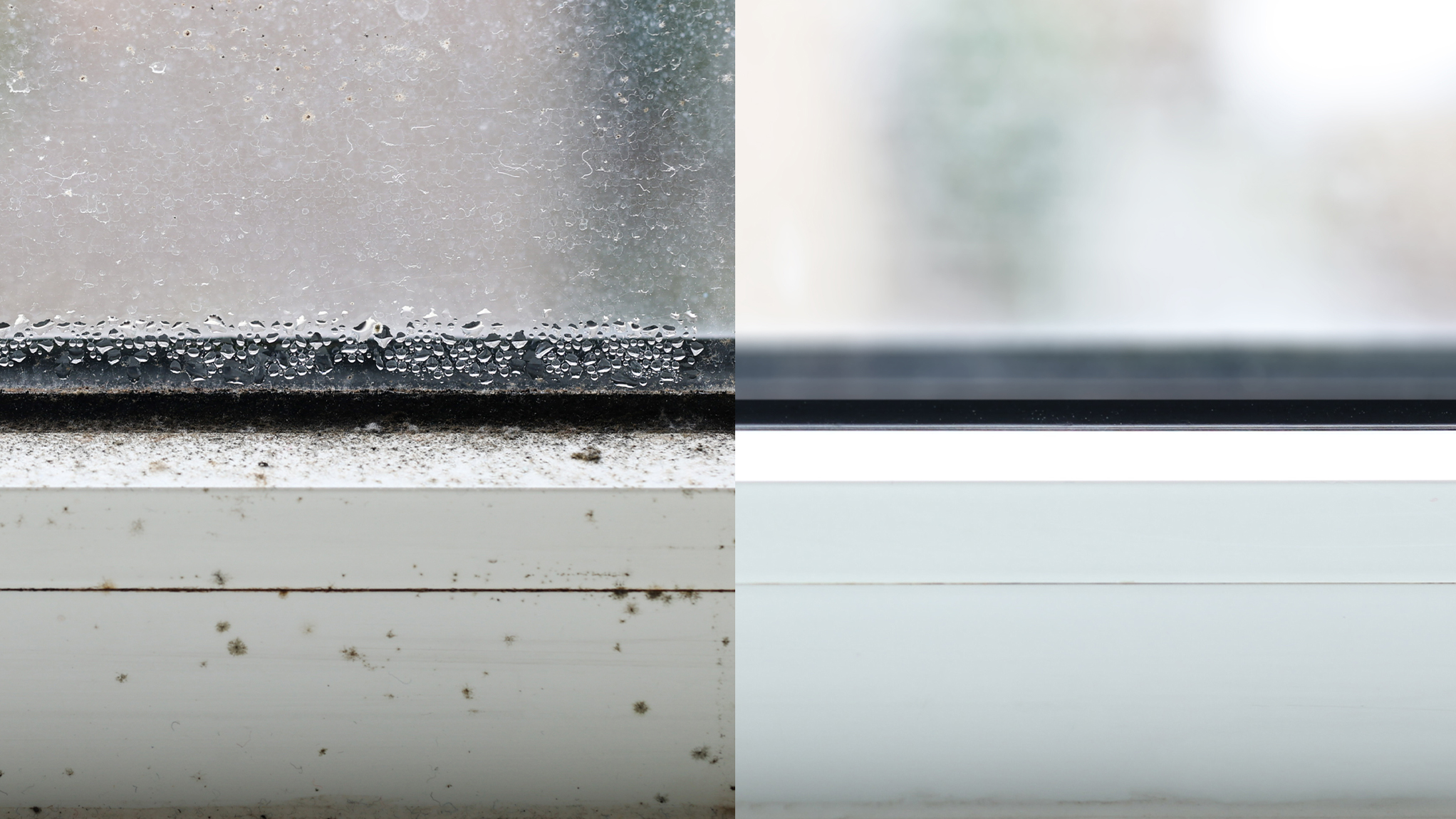 Condensation and mould before and after