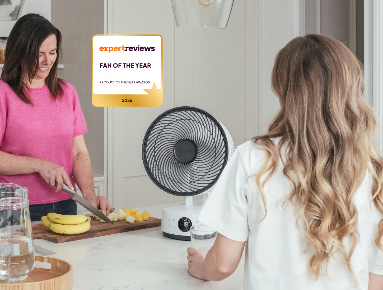 Expert Reviews Fan of the Year award logo with the MeacoFan Sefte 8